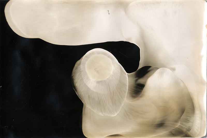 Dancer No. 1, Chemigram by Don Lee