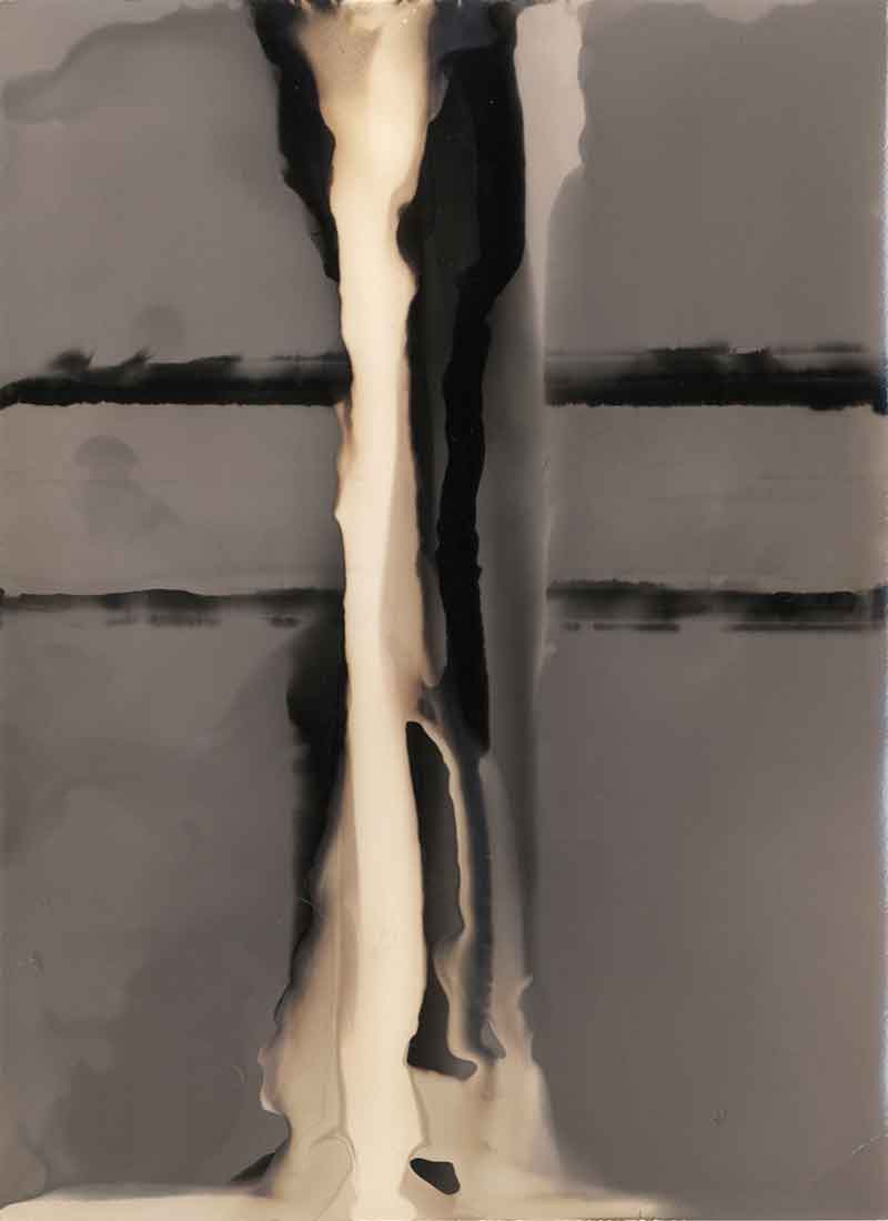 Forces No. 1, Chemigram by Don Lee