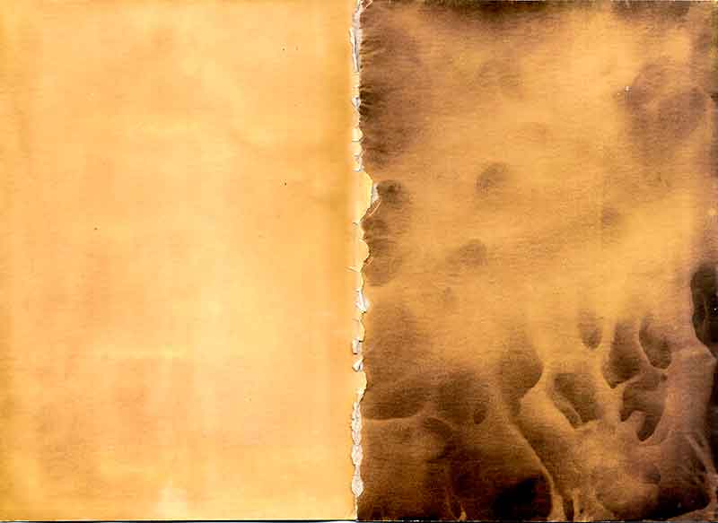 Surface No. 1, Chemigram by Don Lee
