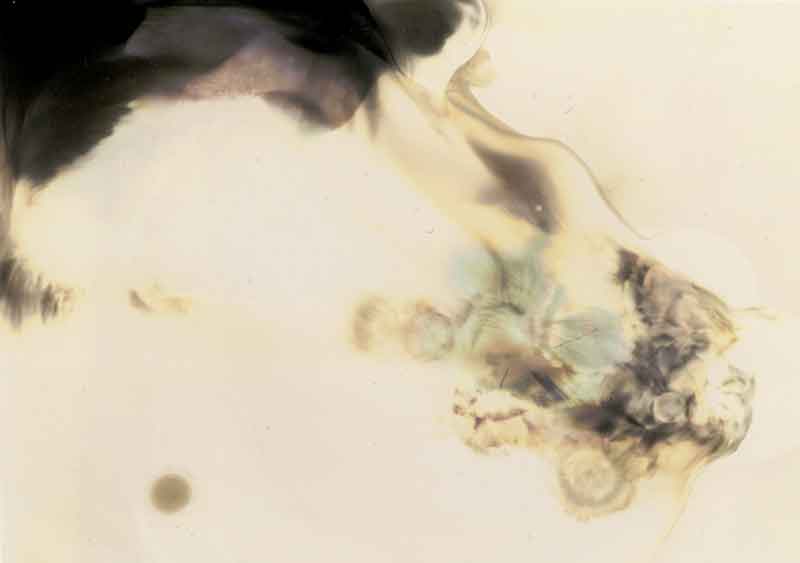 Dancer No. 2, Chemigram by Don Lee