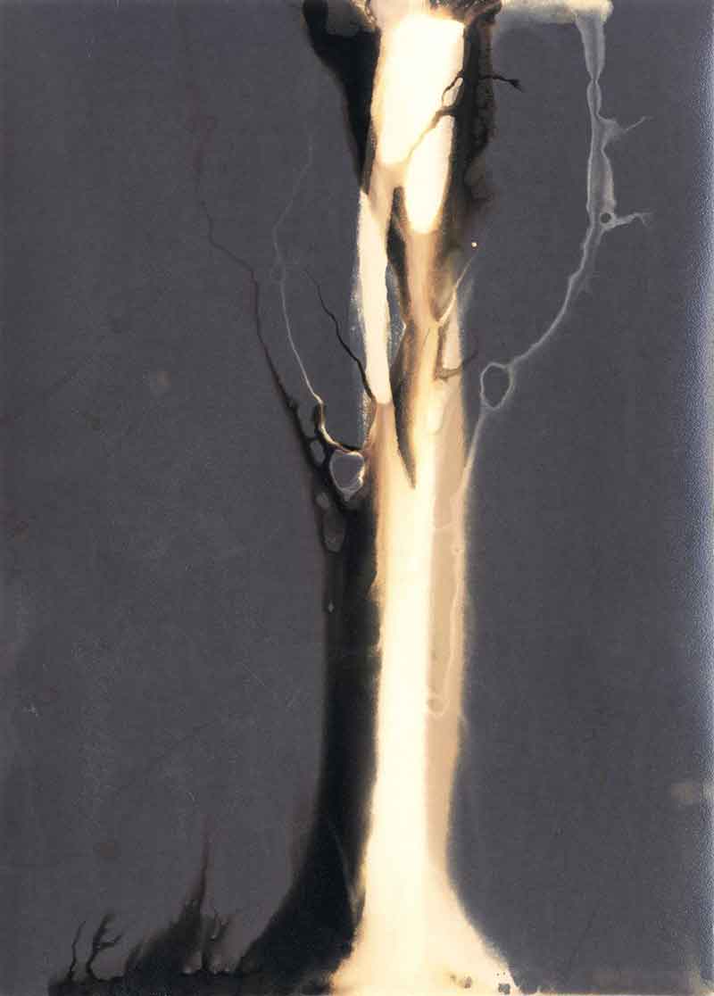 Forces No. 2, Chemigram by Don Lee