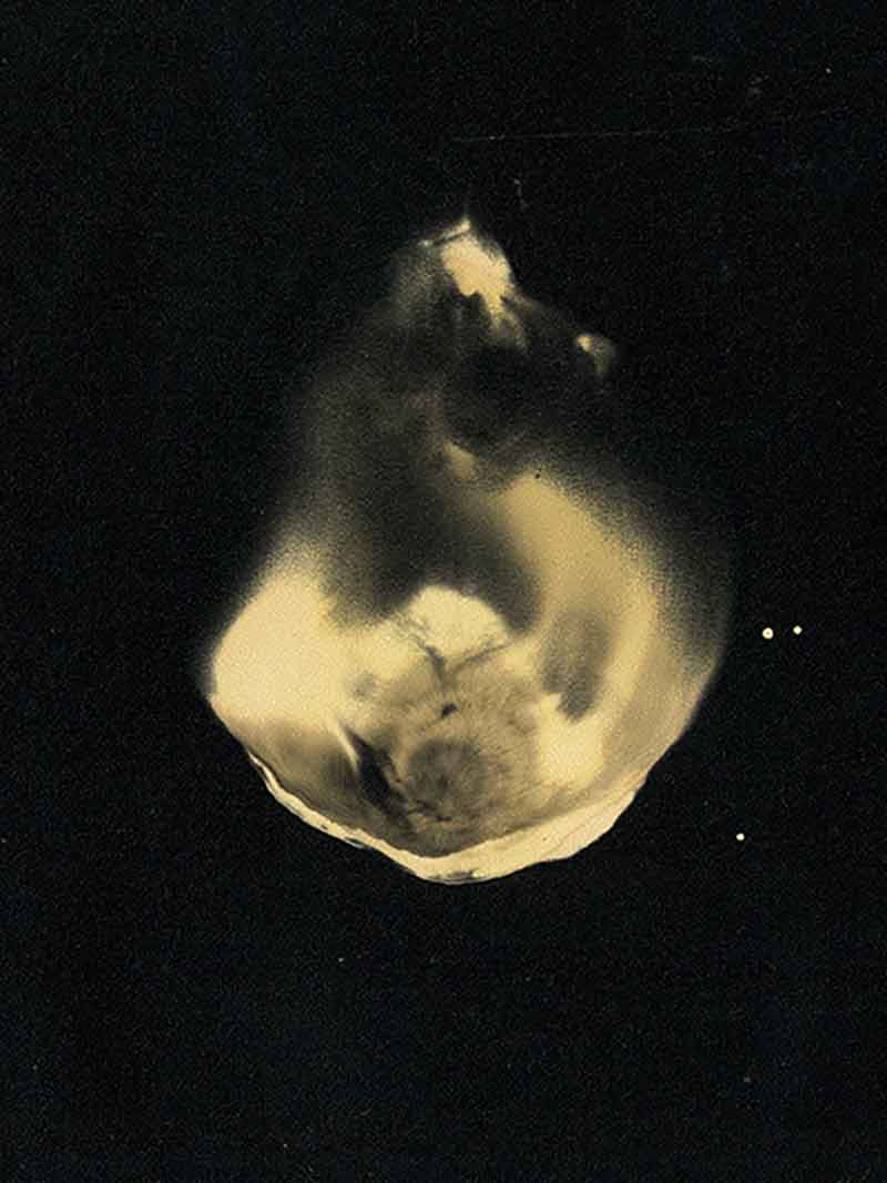 Dancer No. 3, Chemigram by Don Lee