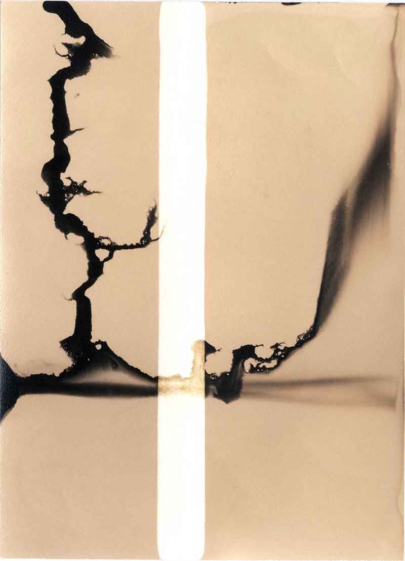 Forces No. 3, Chemigram by Don Lee