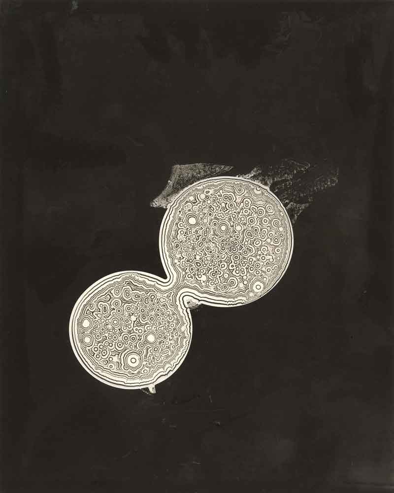 Uncharted No. 3, Chemigram by Don Lee