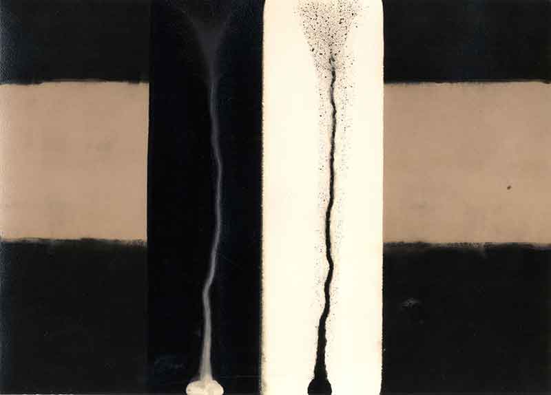 Forces No. 4, Chemigram by Don Lee