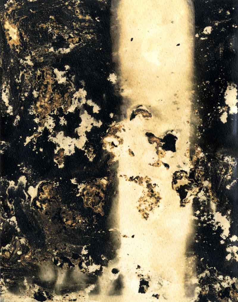 Line Study No. 4, Chemigram by Don Lee