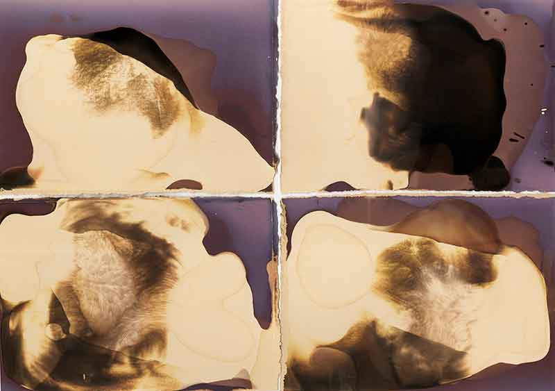 Surface No. 4, Chemigram by Don Lee
