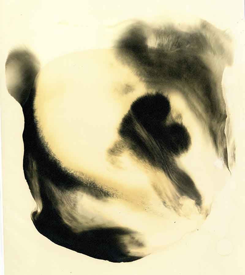 Dancer No. 5, Chemigram by Don Lee
