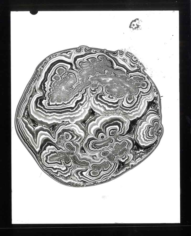 Uncharted No. 5, Chemigram by Don Lee